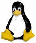 linux-penguin.jpg