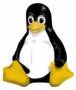 eg-253:linux-penguin.jpg