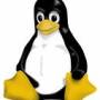 linux-penguin.jpg